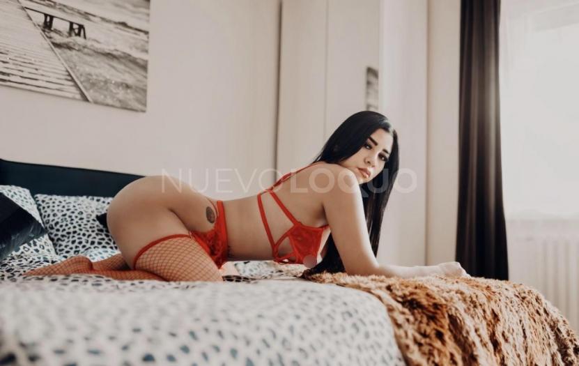 NuevoLoquo3
