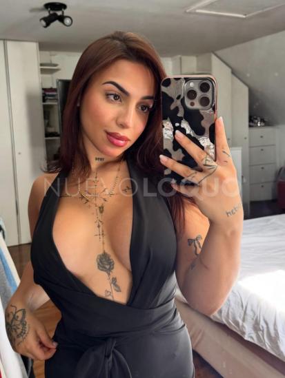 NuevoLoquo3