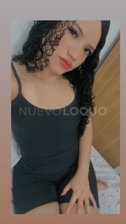 NuevoLoquo4