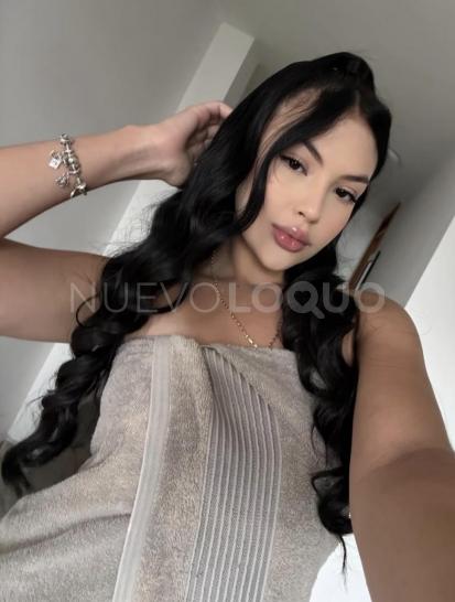 NuevoLoquo3