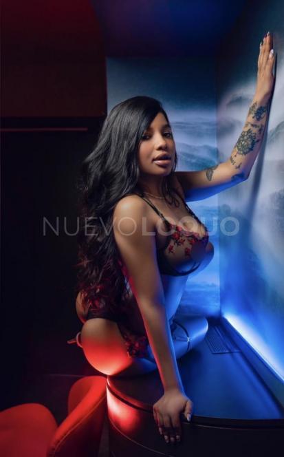 NuevoLoquo3
