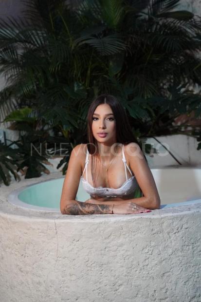 NuevoLoquo2