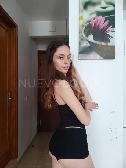 NuevoLoquo3