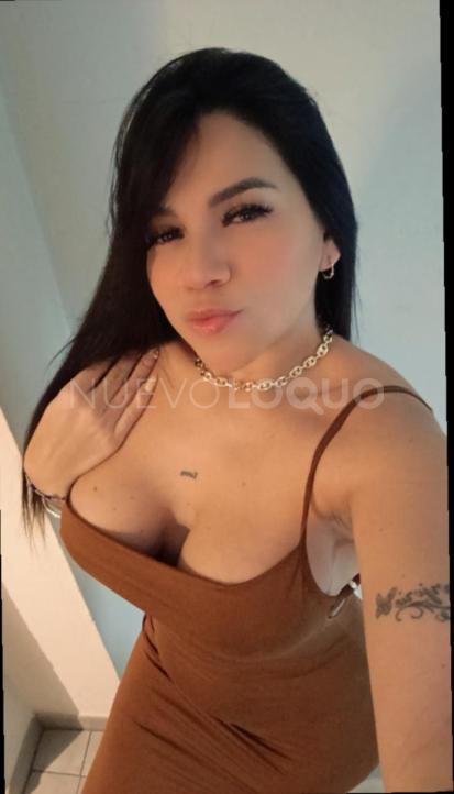 NuevoLoquo2