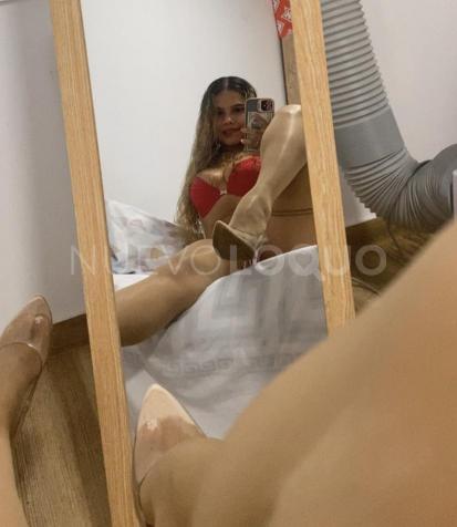 NuevoLoquo3