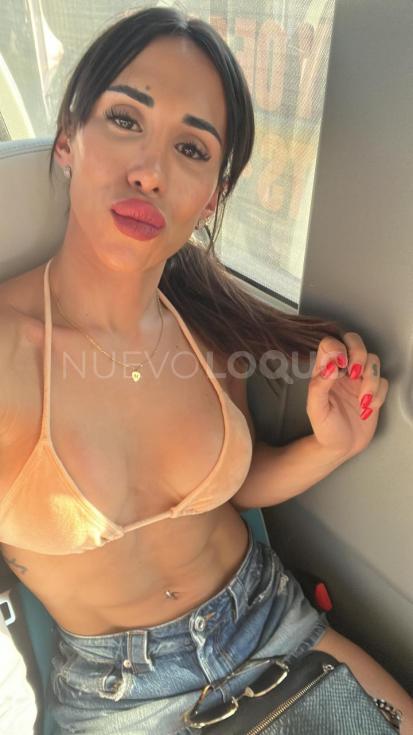 NuevoLoquo2