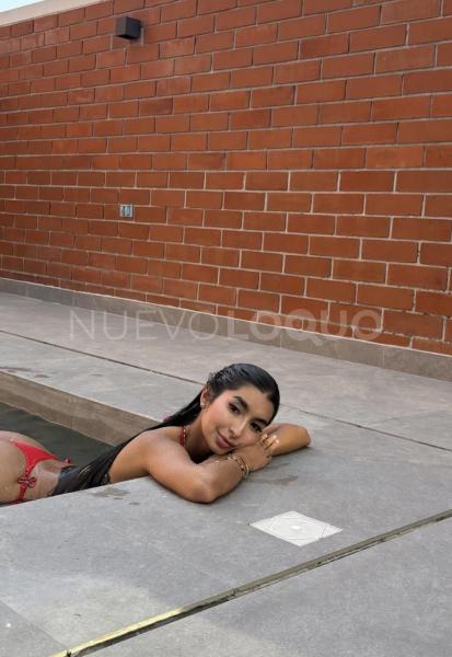 NuevoLoquo3
