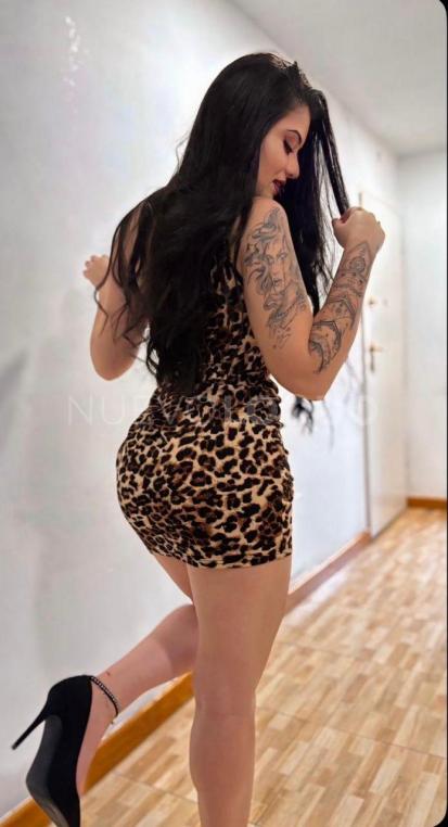 NuevoLoquo1