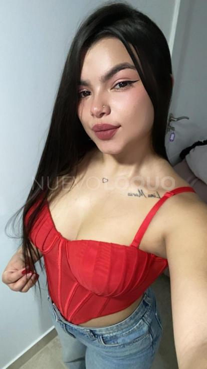 NuevoLoquo1