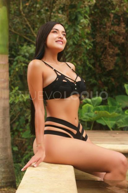 NuevoLoquo3
