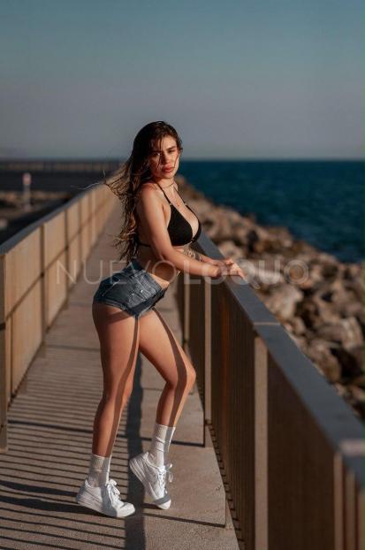 NuevoLoquo4