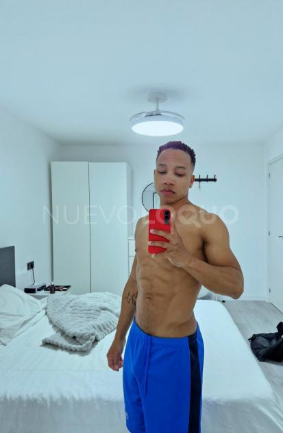 NuevoLoquo2