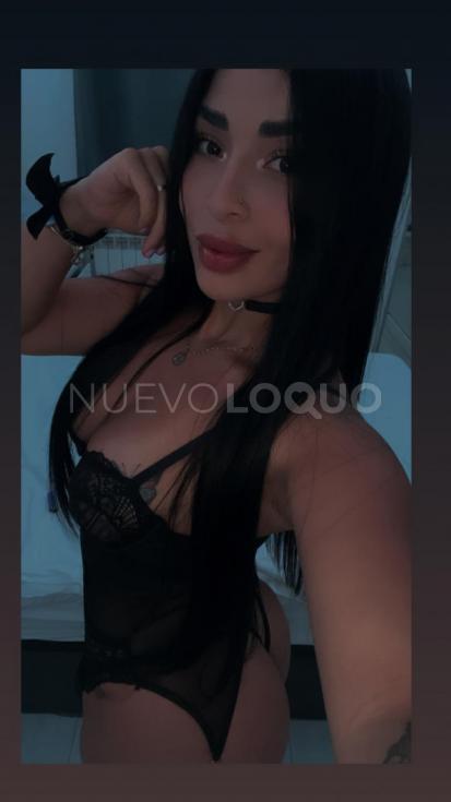 NuevoLoquo3