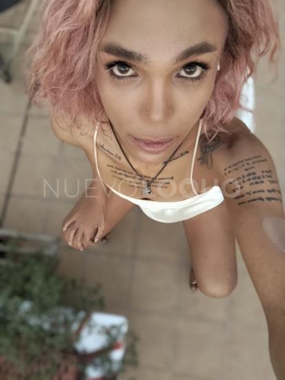 NuevoLoquo4
