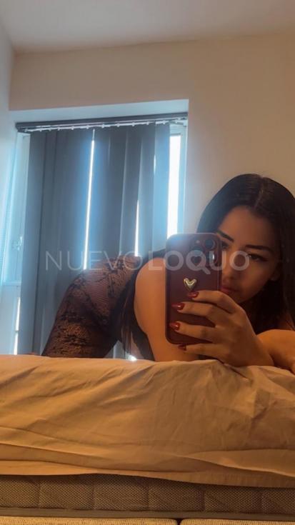 NuevoLoquo2