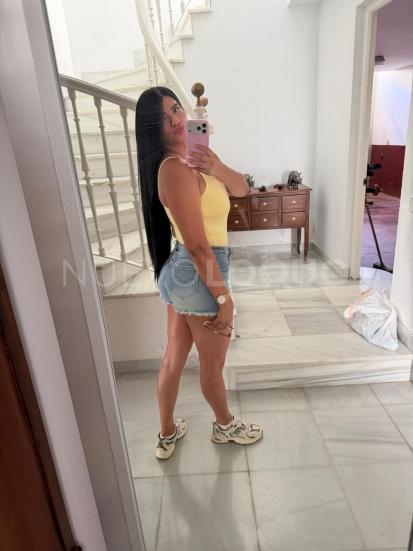 NuevoLoquo3