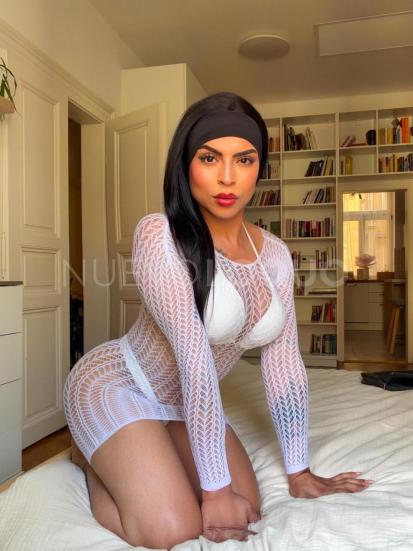 NuevoLoquo1