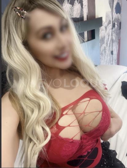 NuevoLoquo4