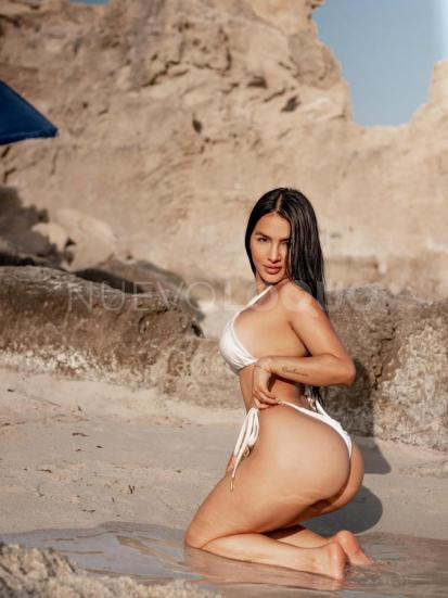 NuevoLoquo3