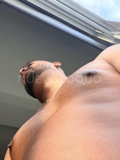 NuevoLoquo2