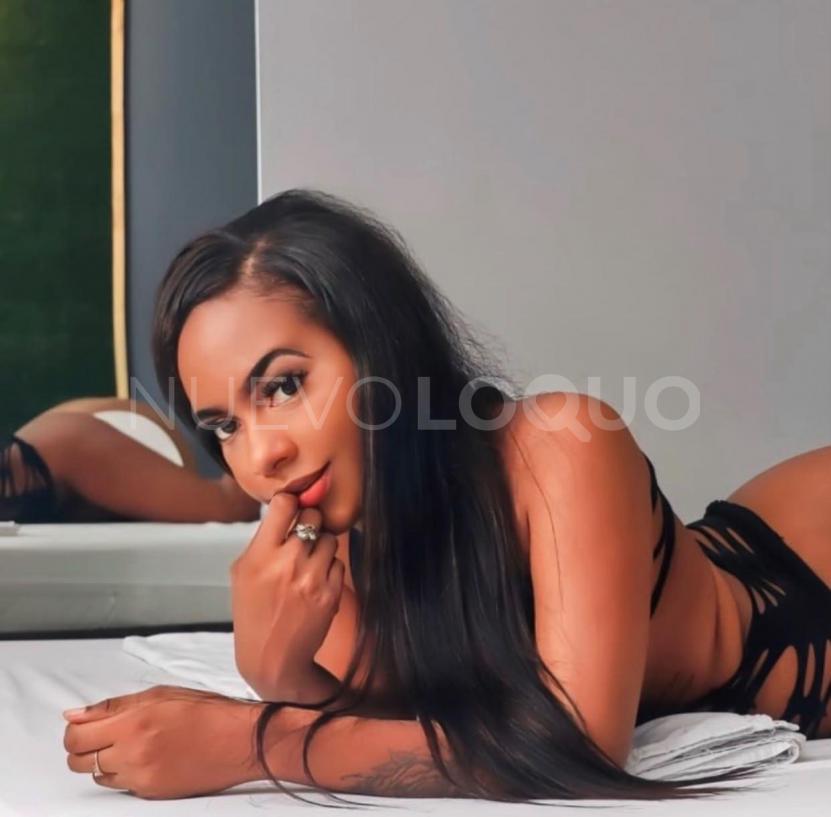NuevoLoquo3