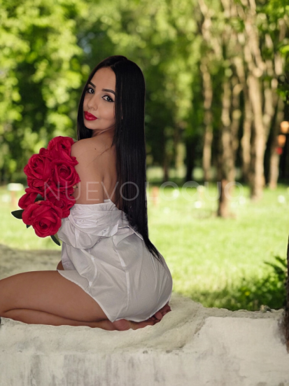NuevoLoquo3