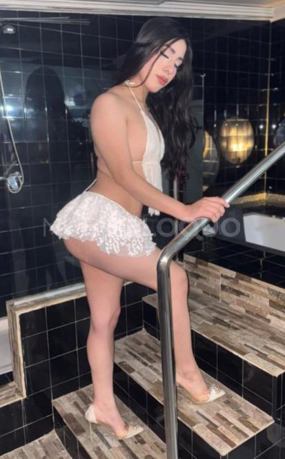 NuevoLoquo4