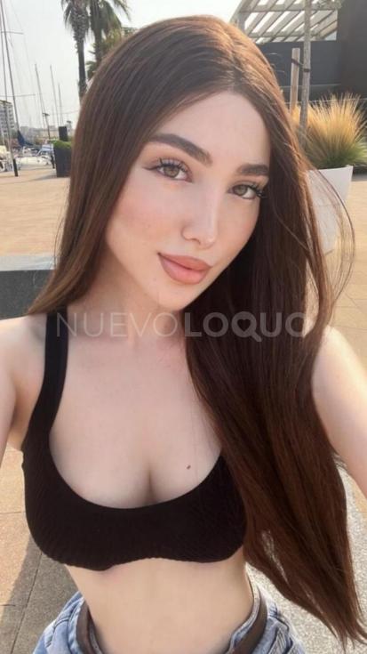 NuevoLoquo2