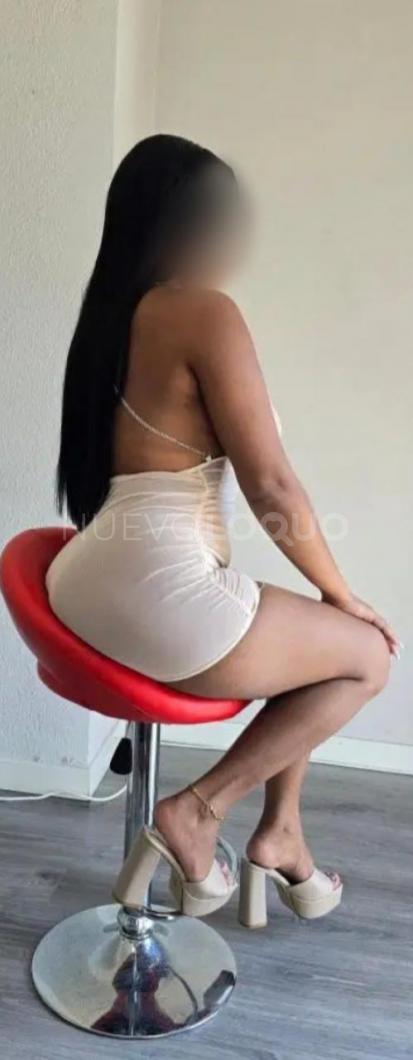 NuevoLoquo2