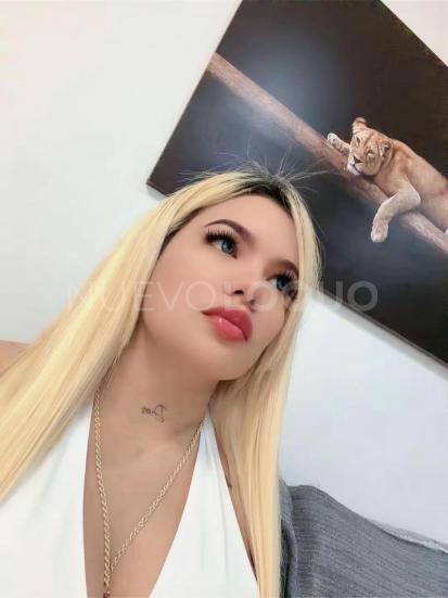 NuevoLoquo0