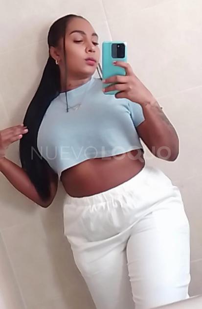 NuevoLoquo3