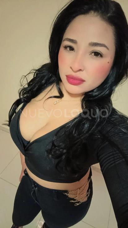 NuevoLoquo3