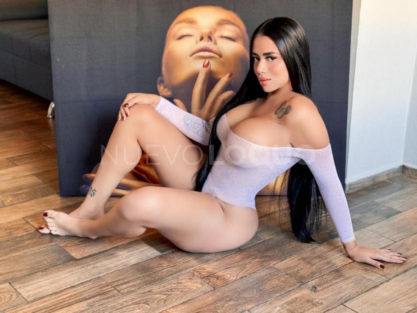 NuevoLoquo3