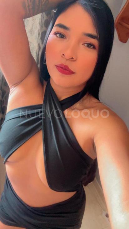 NuevoLoquo3