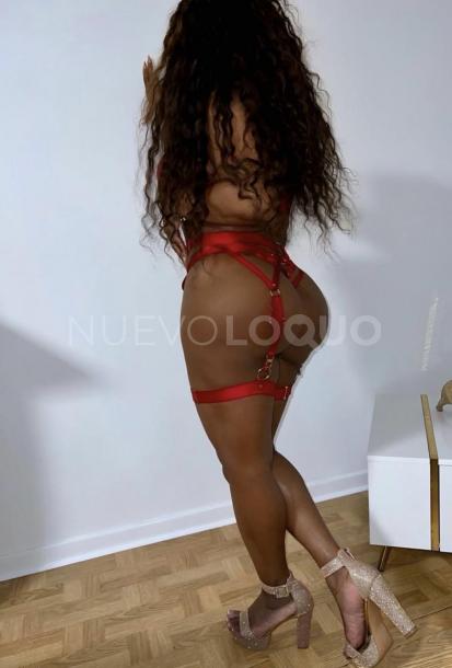 NuevoLoquo1