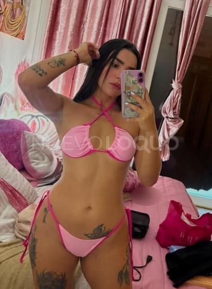 NuevoLoquo2