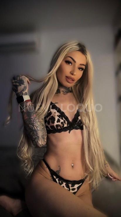 NuevoLoquo1