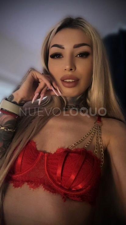 NuevoLoquo3