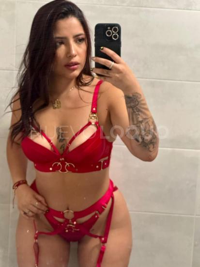 NuevoLoquo2
