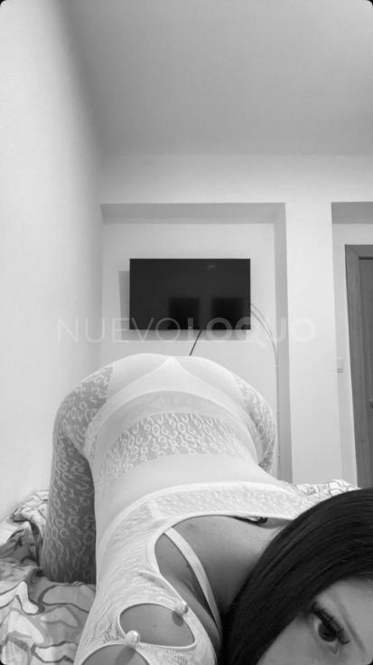 NuevoLoquo3