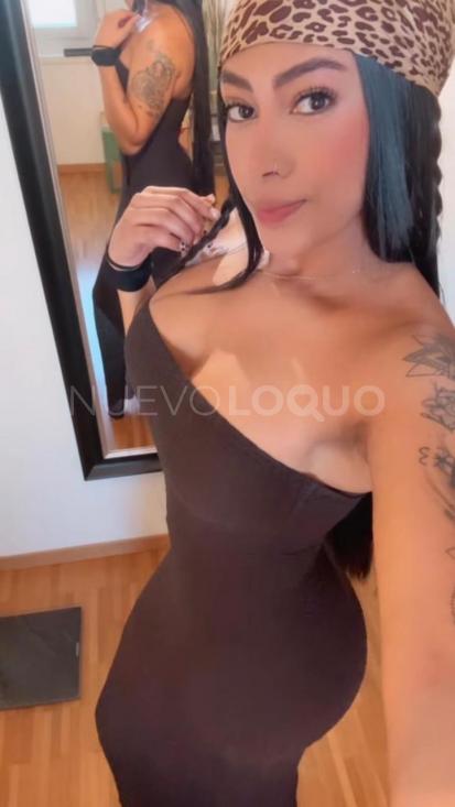 NuevoLoquo5