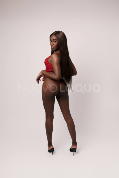 NuevoLoquo1