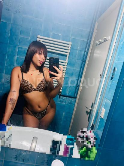 NuevoLoquo3