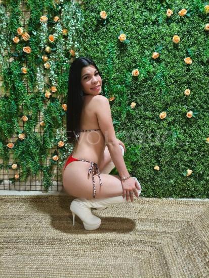 NuevoLoquo2