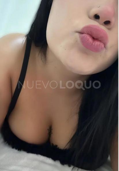 NuevoLoquo3