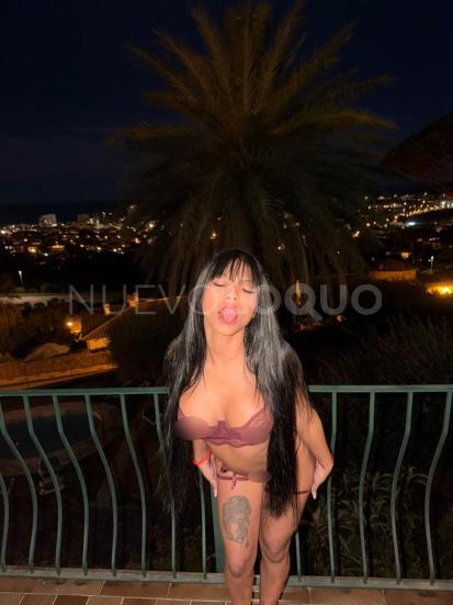 NuevoLoquo2