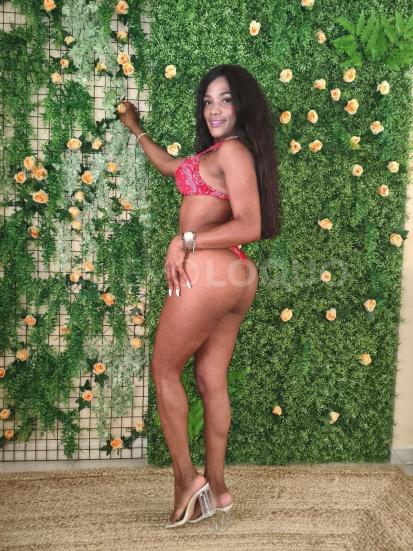  COLOMBIANA
