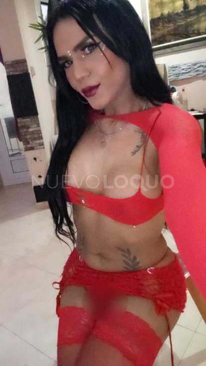 NuevoLoquo3