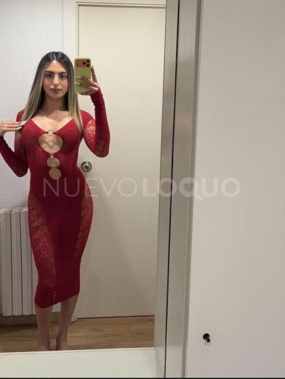 NuevoLoquo3