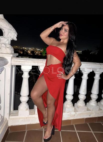NuevoLoquo2